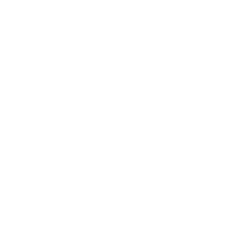 ELECTRONICS & SOFTWARE